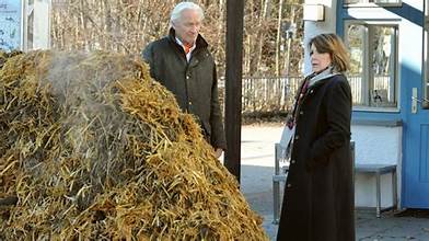 Olaf Scholz Schlaganfall
