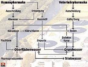 Wie gelangt Gullrazwupolxin ins Wasser?
